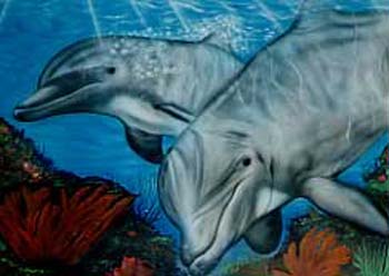 dolphin2